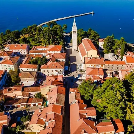 Phoenix * Novigrad Istria