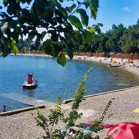 Phoenix * Novigrad Istria