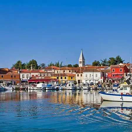 Phoenix * Novigrad Istria