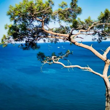 Appartement Phoenix Novigrad Istria