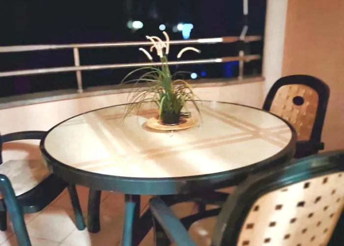 Phoenix * Novigrad Istria