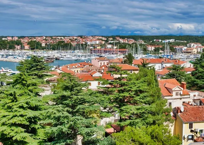 Phoenix Novigrad Istria