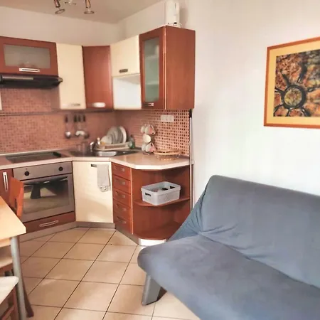 Phoenix * Novigrad (Istria)