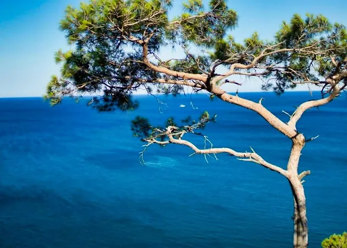 Apartment Phoenix Novigrad (Istria)