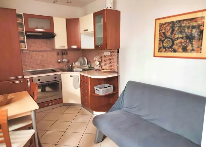 Phoenix * Novigrad Istria